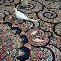 فروش عروس هلندی