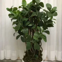 درختچه مصنوعی