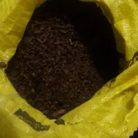 چای سیب