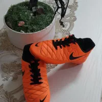 کفش های پسرانه کتانی،چمن،سالن|کیف، کفش، کمربند|اسفراین, |دیوار