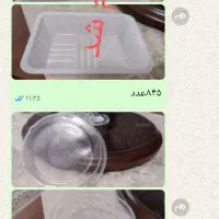 ظروف یکبارمصرف توسکاو درب گیاهی املون