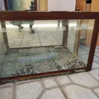 اکواریوم