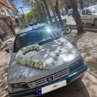 ۴۰۵|خودرو کلاسیک|بروجرد, |دیوار