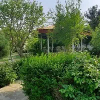 زمین سندار آرامگافردوسی گوارشک دیاکو فرماینه اقساط|فروش خانه و ویلا|مشهد, توس فردوسی|دیوار