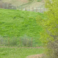 فروش زمین ۳۴۷۴ متری|فروش زمین و ملک کلنگی|توتکابن, |دیوار