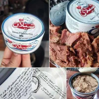 شیلان تن ماهی برند