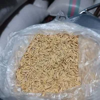 شالی دم سیاه درجه یک|عمده‌فروشی|گنبد کاووس, |دیوار