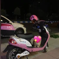 موتور سیکلت شارژی