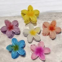 کلیپس پلومریا کلیپس گل بابونه کلیپس سیران