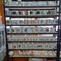 شهر ماگ انواع ماگ تبلیغاتی و ساده|ظروف سرو و پذیرایی|مشهد, گلبرگ|دیوار