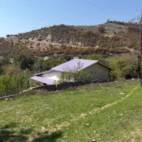 ویلا پلاک یک جنگل