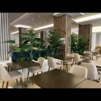 (شامادورا) بوته 18 برگ انجیری فلاورباکس درختچه ایی|گل مصنوعی|تهران, بروجردی|دیوار