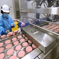 استخدام نیرو شرکت پروتئینی|استخدام صنعتی، فنی، مهندسی|رشت, دیلمان|دیوار