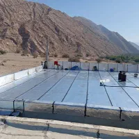 ایزوگام وقیرگونی