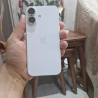 Apple 16 normal