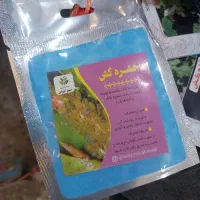 انواع گل گلدان