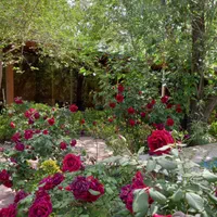 زمین ( مجتمع کشاورزی عصر کمیل )