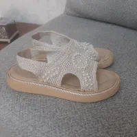 صندل گیپوری