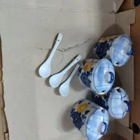 ظروف گل پنبه