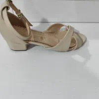 کفش مجلسی