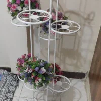 استند گل