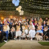 سگ، مربی سگ.تربیت سگ ،آموزش سگ / پانسیون و سگ