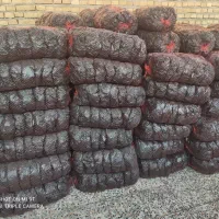 زغال لیمو و کبابی|عمده‌فروشی|دزفول, |دیوار