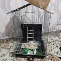 قفس پرنده|لوازم جانبی حیوانات|اسدآباد, |دیوار