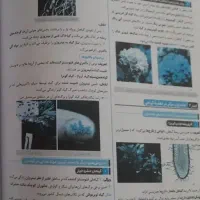 کتاب زیست دهم سیگنال ۲۰|کتاب و مجله آموزشی|سبزوار, امیر کبیر|دیوار