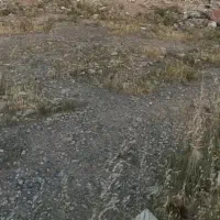 زمین ۲۵۰متری