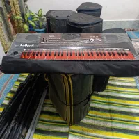 ارگ پیا 700