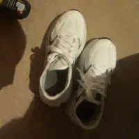 کفش اسپورت