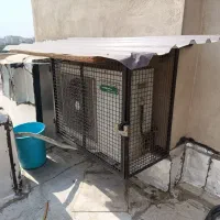 کولر گازی ۳۰هزار جنرال اصلی رادیات طلایی سنگین|کولر گازی و فنکوئل|تهران, یافت آباد شمالی|دیوار