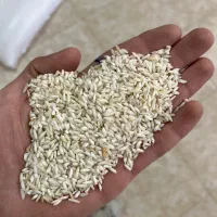 طارم درجه ۳