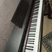 پیانو دیجیتال رولند|پیانو، کیبورد، آکاردئون|رشت, یخسازی|دیوار