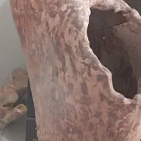 تنه درخت  طبیعی