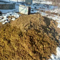 کود حیوانی رایگان