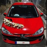 ۲۰۶ مدل ۸۲ تیپ ۲|خودرو سواری و وانت|شیراز, شهرک امیر کبیر|دیوار