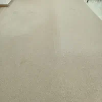 موکت پالاز کارکرده