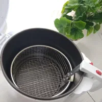 سرخ کن فانتوم سالم و نو