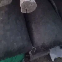 سلنک خشک خشک