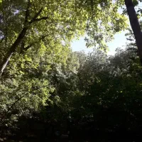 باغ مشجر۸۶۰متر .ششدانگ.بامجوزساخت.خ.دانشگاه