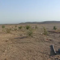 باغ ویلا ۱۰۰۰ متری در کوهستان سیلیجرد|فروش دفتر صنعتی، کشاورزی، تجاری|ساوه, |دیوار