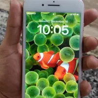 iphon 8plus 256|موبایل|تهران, یوسف‌آباد|دیوار