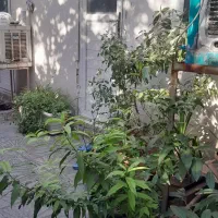 اقامتگاه( خوابگاه) پسرانه ارین|اجارهٔ کوتاه‌مدت آپارتمان و سوئیت|تهران, نصرت|دیوار