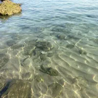 همسفر به قشم