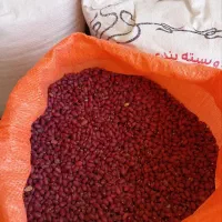 لوبیا قرمز