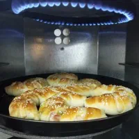 تنورگازی با تایمر و دماسنج و جوجه گردان برقی