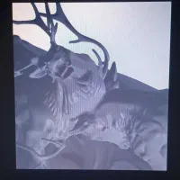 طراح سه بعدی کار