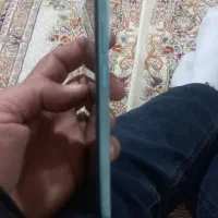 گوشی شیامی نوت۱۲پرو|موبایل|تبریز, |دیوار